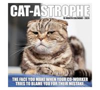 Fcuajdkq Calendario mensile da parete 2024 come da foto catastrofe gatto catastrofe mensile 2024
