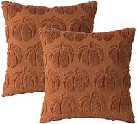 FDEETY Federe Cuscini Decorative Zucca 3d Tessuto Tufted Copricuscini Quadrati 45x45cm Autunnali