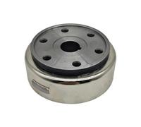 FDEqaLX Gruppo rotore generatore Magnete volano di Potenza 24002A Compatibile con Linhai 300 LH 300D LH300 Demon Muddy Goon Carry