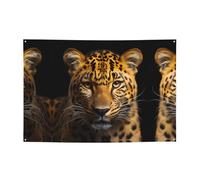 FDGBNM The Deep Eyed Leopard Vibrant Party Banner 119,4 x 43,2 cm, resistente ai raggi UVFadeProof, 4 occhielli, per uso interno/esterno.