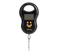 Fdit Bilance da Pesca con Display LCD retroilluminato con Bilancia Elettronica Digitale bilanciamento Bagagli 50kg / 10g con Gancio per Appendere