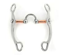 Fdit Bip della Bocca in Acciaio Inossidabile per Cavallo, Lungo 4,92 Pollici, Adatto All'addestramento a Cavallo, Materiale Anti-robustivo, Aiuta a Mantenere la Bocca del Morbida e Umida, Ideale per