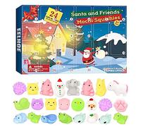 Fdit Calendario Dell'avvento Natalizio, Conto Alla Rovescia 24 Giorni con Giocattoli a Sorpresa Stress Relief Educational for Kids Adults, TPR Sensory Fidget Toys for Holiday