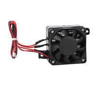 Fdit Elemento Riscaldante PTC 12V 100W, con Regolazione Automatica della Potenza, Superficie Isolata e Fori di Montaggio, per Riscaldatore, Umidificatore, Aria Condizionata e Uso di