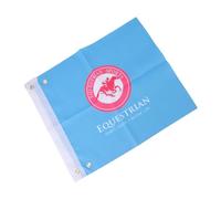 Fdit Flag di Addestramento Equestre Flag di Vibranti Arbitri Indicatori di Luce per Cavalli, 2pcs (BLUE)