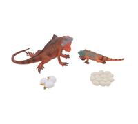 Fdit Kit Modello Simulato di Iguana, Giocattoli Educativi per il Ciclo di Crescita Cognitiva per Bambini, Materiale in PVC