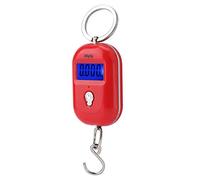 Fdit Mini Bilancia Tascabile Digitale 25 Kg/5 G Gancio Portachiavi Portatile con Display LCD e Spegnimento Automatico per Pesare Frutta e Verdura