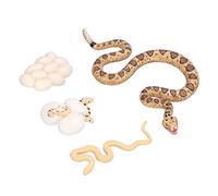 Fdit Modello del Ciclo di Vita del Serpente, Promuove L'apprendimento Precoce e Le capacità Cognitive nei Bambini, Il Materiale Verde Protegge L'ambiente