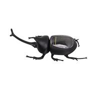 Fdit Modello di Scarabeo Stercorario Ad Energia Solare a Risparmio Energetico per L'educazione dei Bambini, Giocattolo per Insetti All'aperto Ad Energia Solare, Antiurto