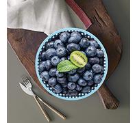 Fdit Piastra da 22 Cm di Diametro, Realizzata in Resina A5 MF, Non Tossica, Resistente Alla Corrosione, con Superficie Piana Dai Colori Eleganti, Leggera, per Domestica, Ristorante, (Controllo blu)