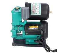 Fdit Pompa di Autoadescamento 250W, Pompa Booster con Motore in Rame Puro e Corpo in Ghisa con Valvola di Non Ritorno per Irrigazione di Giardini Domestici (Spina europea)