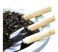 Fdit Set Mini Attrezzi da Giardino da 3 Pezzi con Manici in Legno, Pale in Ferro e Rastrello per la Cura delle Piante in Vaso (Colore assortito)
