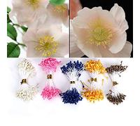 Fdit Stami Artificiali per Fiori 3mm 900 Pezzi Multicolore per Decorazione Fai da Te, Pistilli Artificiali per Accessori Gioielli e Abbigliamento, per Artigiani Creativi