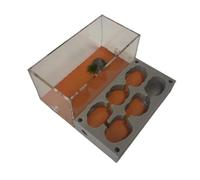 FDOSIJFOS Formicaio, Nido di formicaio Castello Trasparente Fattoria formiche e Regina Kit apprendimento for Casa delle