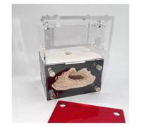 FDOSIJFOS Formicaio, Nido di formicaio in Cemento, con Torre idratazione, in Acrilico for l'educazione scientifica(White)