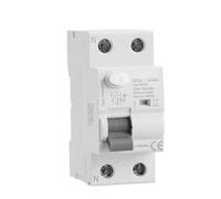 FDYZCIYI Interruttore Automatico GYL9 A-Si Tipo RCD RCCB ELCB Interruttore Automatico elettromagnetico ritardato 2P 4P 40A 63A 30mA Tipo A-Si 1 pz(TypeA-Si 2P 40A 30mA)