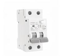 FDYZCIYI Interruttore Automatico GYR9NM Interruttore Automatico Magnetico RCBO Tipo AC con Protezione da sovracorrente e perdite DIN Rail 10A 16A 25A 32A 40A 1 pz(2P 40A,300mA)