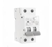 FDYZCIYI Interruttore Automatico GYR9NM Interruttore Automatico Magnetico RCBO Tipo AC con Protezione da sovracorrente e perdite DIN Rail 10A 16A 25A 32A 40A 1 pz(2P 32A,100mA)