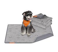 Feandrea Tappeti per Addestramento per Cani Riutilizzabili, 2 Pezzi, Lavabili, 91 x 86 cm, M, Impermeabili, Antiscivolo, Assorbenti, Cani, Gatti, Conigli, Grigio Tortora PTD002G01