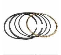 FEARZIE Set di Fasce Elastiche for WM170 169CC VP1340 VP1050 VP2050 COMPATTATORE COSTIPATORE Jumping Jacker COLTIVATORE Anelli di Compressione DELL'OLIO