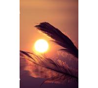 Feather Dream Journal and Diary: 120 Custom Feather Pages to log good times, trips, lessons or life in general, 6 x 9 inches, Matte Finish Cover, Great Gift For Anyone!