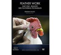 Feather Work Part 1: Realistic Bird Feathering Techniques