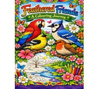 Feathered Friends : A Colouring Journey