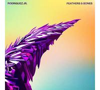 Feathers & Bones
