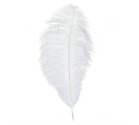 Feathers Soft and comfortable to the Are Perfect for DIY Crafts Wedding Family Party Christmas Decorations. Portapenne (WH3 One Size)