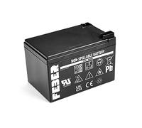 FEBER Famosa 800003106 - Batteria 12V 12 Ah Solo Articoli