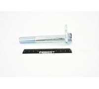 FEBEST 0129-003 Bullone correzione campanatura