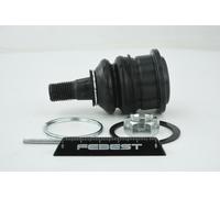 FEBEST 0220-W11 Testina braccio oscillante