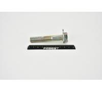 FEBEST 0229-001 Bullone correzione campanatura