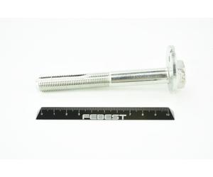 FEBEST 0229-004 Bullone correzione campanatura