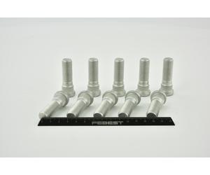 FEBEST 0284-005-PCS10 Bullone ruota