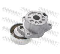 FEBEST 0290-T30 Tenditore cinghia servizi