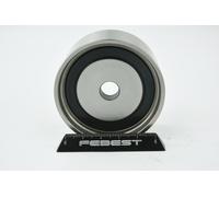 FEBEST 0488-KB4 Galoppino / Guidacinghia, Cinghia dentata