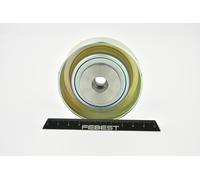 FEBEST 0488-KG4W Galoppino guidacinghia, cinghia Poly-V