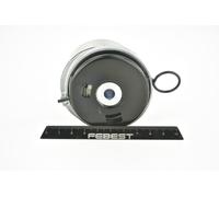 FEBEST 1090-J300 Tendicinghia, Cinghia dentata