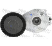 FEBEST 1690-M264 Tendicinghia, Cinghia Poly-V per MERCEDES-BENZ,MERCEDES-BENZ (B