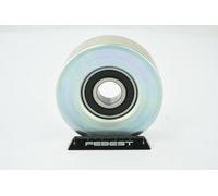 FEBEST 1987-R55 Rullo tenditore cinghia Poly-V 75mm per BMW 1 Schrägheck (F20)