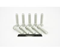 FEBEST 2184-001-PCS10 Bullone ruota