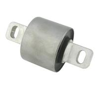 FEBEST BZAB-054 Supporto Differenziale Posteriore centrale