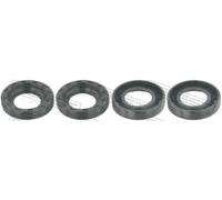 FEBEST PGCP-003-PCS4 Anello tenuta, Iniettore per CITROËN,FORD,PEUGEOT,VOLVO