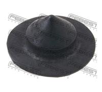 FEBEST Primavera Inferiore Assale Posteriore Adatto A per BMW 5er E39 X5 E53