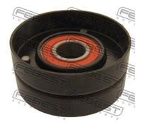 FEBEST Rullo Guida Cinghia Poly V Per Land Rover Discovery III