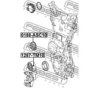 FEBEST Rullo Guida Cinghia Poly V Per Lexus IS III 200 T 300 RC