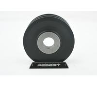 FEBEST TDS-UZJ100 Puleggia cinghia, Alternatore