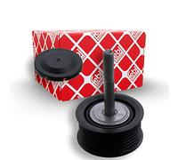 FEBI BILSTEIN 102177 Galoppino guidacinghia, cinghia Poly-V