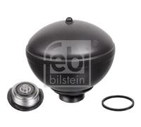 Febi 38291 Accumulatore Sospensione/Sospensione Posteriore per Citroën C5 I